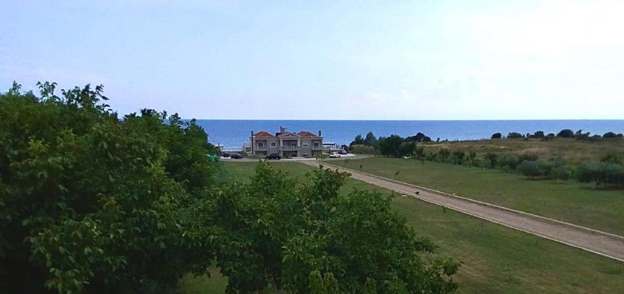 Dimitri - Seaview Alexandroupolis